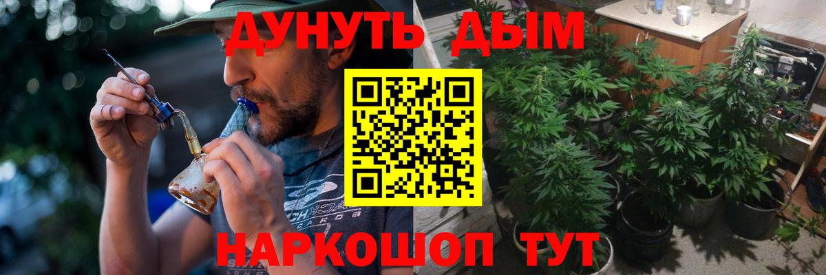 Конопля Ganja  Вход с VPN  Бошки Шишки планчик  Конопля гибрид  Шишки марихуана семена  Вышний Волочёк 